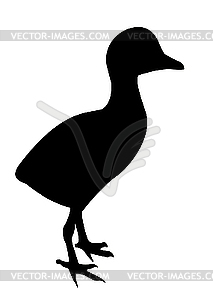 silhouette duckling - vector clip art