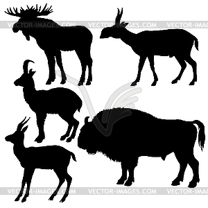 Silhouettes of wild animals - vector image