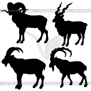  silhouette mountain ram - vector image