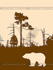  silhouette bear on wild wood  - color vector clipart