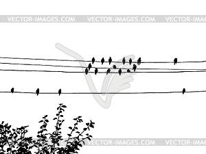 drawing - vector clipart / vector image