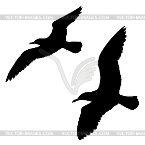  silhouette of the sea gull - vector clip art