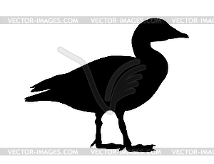  drawing goose - vector image