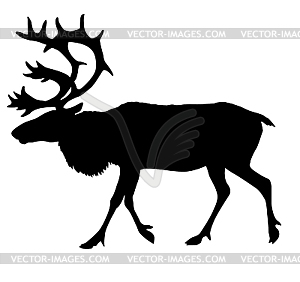  silhouette of the reindeer - vector clipart / vector image