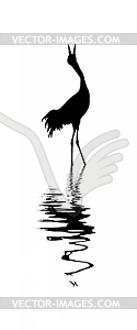  silhouette of the crane amongst water - white & black vector clipart