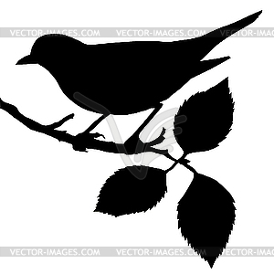 Силуэт птицы на ветке - векторный графический клипарт