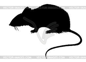 Силуэт крысы - стоковое векторное изображение