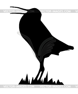 Snipe - vector clipart