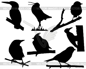 Silhouettes of the small birds on branch - white & black vector clipart