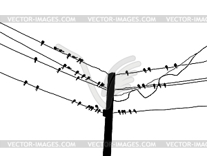  silhouette migrating swallow reposing on electric wire - vector image