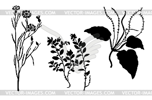  silhouettes of the timber plants - vector clip art