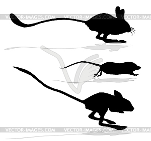  silhouettes of the jerboa and rats - vector image