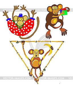  of the apes in circus - vector clip art