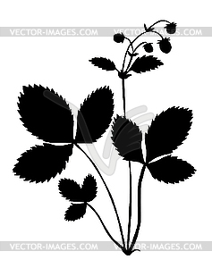 Silhouette of strawberry plant - vector clipart