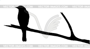 Силуэт птицы на ветке - векторное изображение