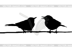  drawing two birds sitting on branch  - vector clip art