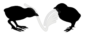  silhouette nestling - vector image