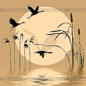 Silhouettes of birds on lake - color vector clipart