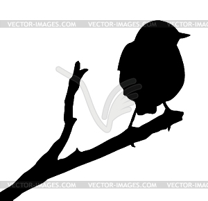 Silhouette of the bird on branch - vector clipart