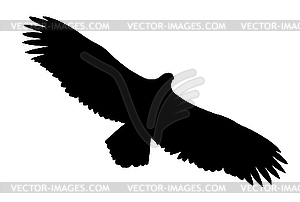  silhouette of the ravenous bird - vector image