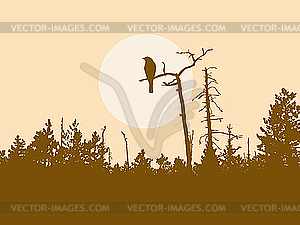 Силуэт старого сухого дерева - изображение векторного клипарта