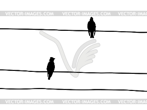 silhouette of the waxwings on wire - vector clip art
