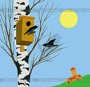  starling on tree - color vector clipart