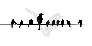 Silhouettes of the birds on wire - vector image