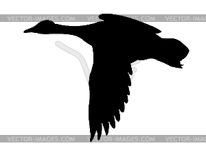 Silhouette flying ducks - vector clip art