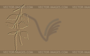 Branch of the birch - vector image