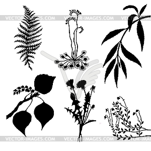 Set of the plants - vector image