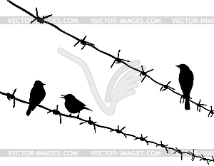 Silhouette three birds on barbed wire - vector clipart