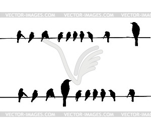 Silhouettes of the birds on wire - vector clipart