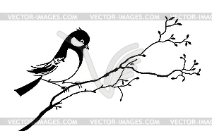 Silhouette of the bird on branch tree - vector image