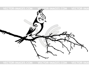 Silhouette of the bird on branch - vector image