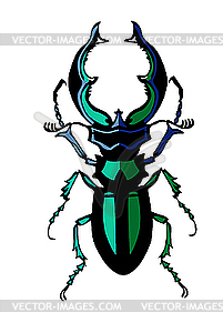 Silhouette of the bug - vector image