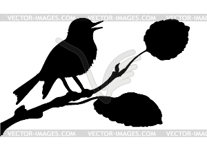 Silhouette of the bird on branch - vector image