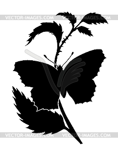 Silhouette of the butterfly - vector clipart