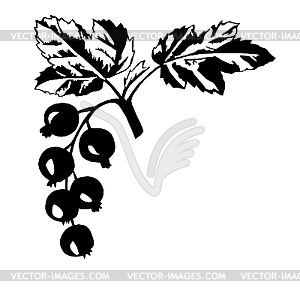 Silhouette of the black currant - vector image