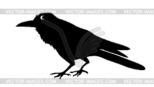 Silhouette ravens - vector image