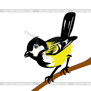 Drawing tomtit - vector clipart