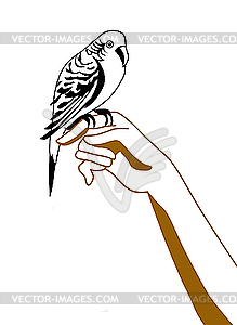Силуэт попугай на руке - векторный клипарт Royalty-Free