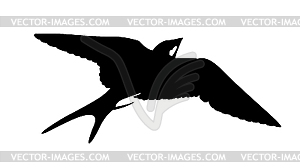 Silhouette of the swallow - vector image