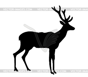 Silhouette of deer - vector image