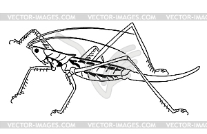 Silhouette grasshopper - royalty-free vector clipart