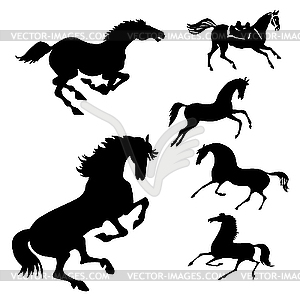 Set of the horses - vector clip art