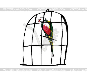 Parrot in cage - vector clipart