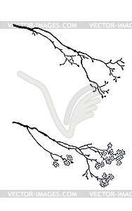 Silhouette of the branch tree - vector clip art