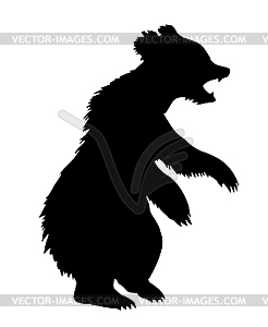 Bear - vector image