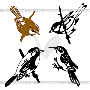 Set of the birds - vector clipart